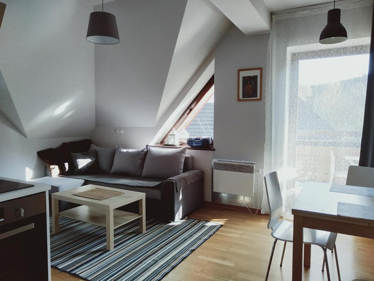 Apartament Kasprowy Jaszczurowka Закопане Экстерьер фото